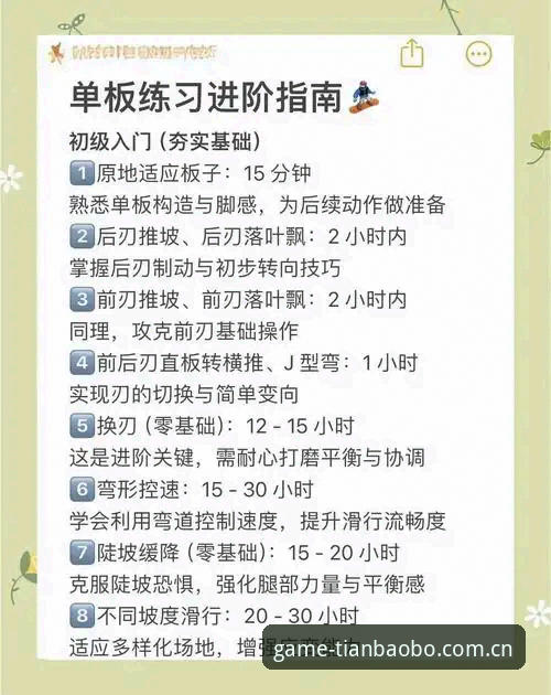 天宝博体育沉浸使用技巧全面评测：从新手到高手的进阶指南